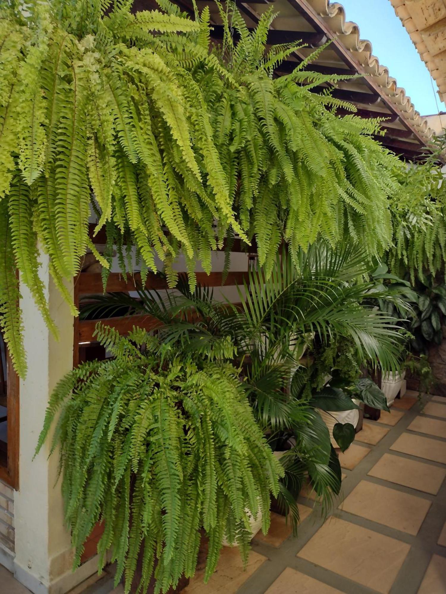 Pousada Vila Morena Itaunas  Exterior foto